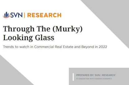 SVN Annual Report-December2021-ThroughThe Murky Looking Glass