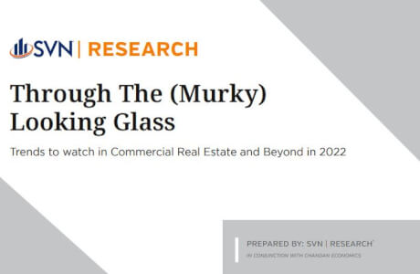 SVN Annual Report-December2021-ThroughThe Murky Looking Glass