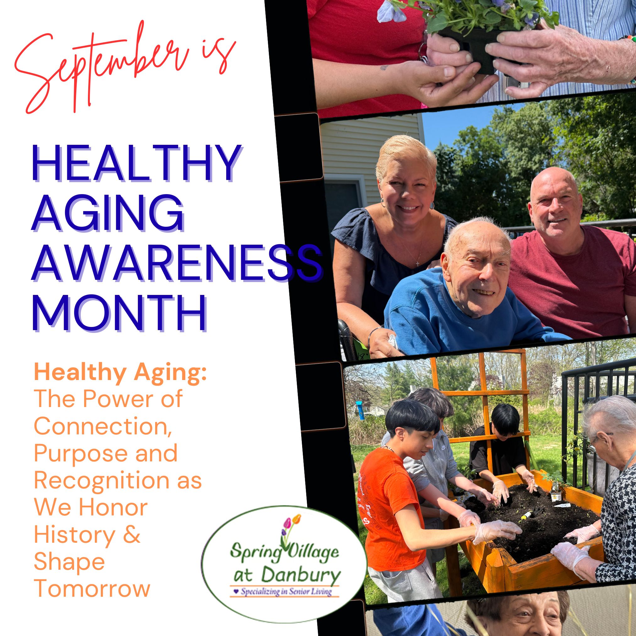 Healthy Aging at Spring Village Danbury