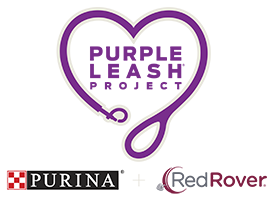 Purple Leash